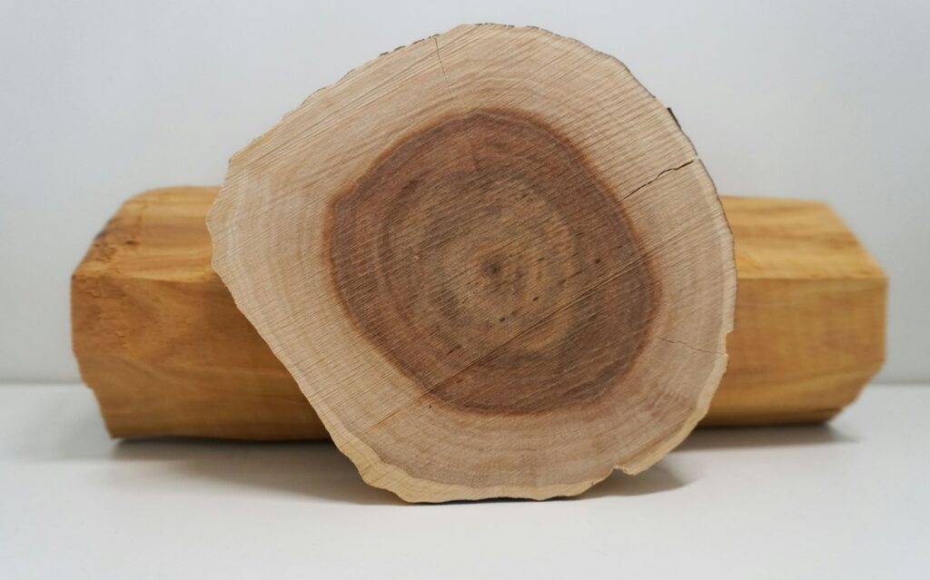 A cut log of sandalwood showing its fragrant heartwood