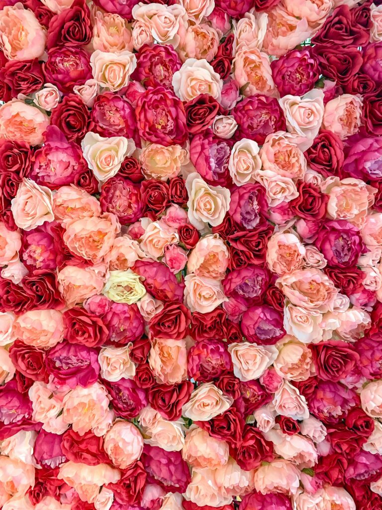 Pink and red roses, the traditional heart note of Arabian perfumery